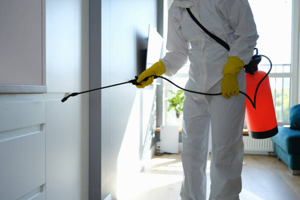 Best Attic Mold Removal  in Pine Grove, CA