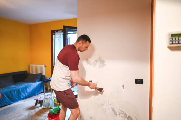 Best Black Mold Removal  in Pine Grove, CA