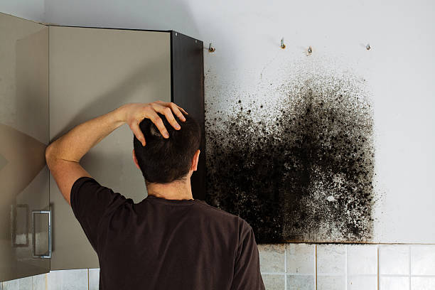 Best Mold Testing  in Pine Grove, CA